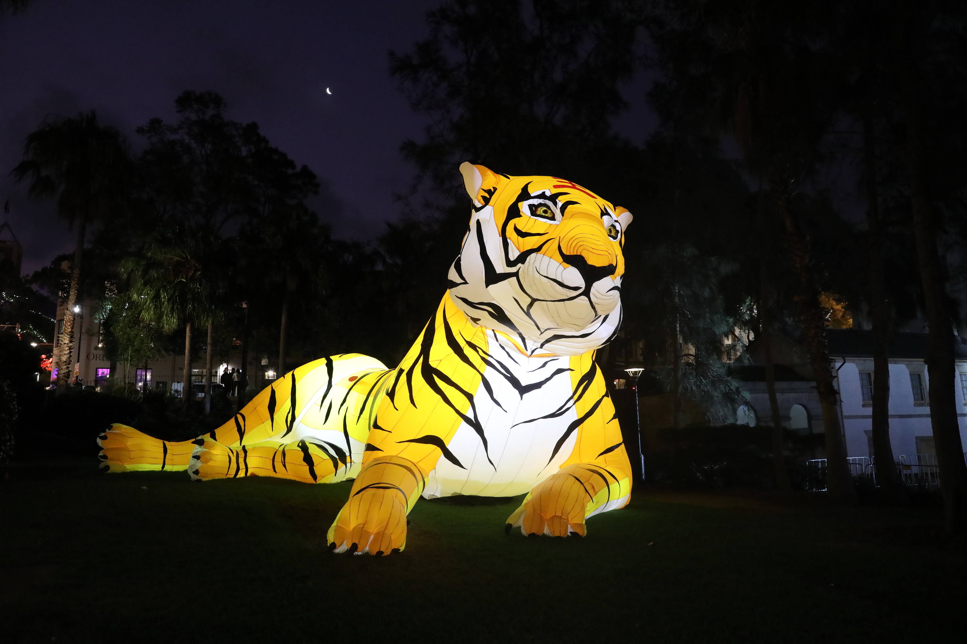 2020 01 30 20 37 37 Canon EOS 5D Mark IV 0037